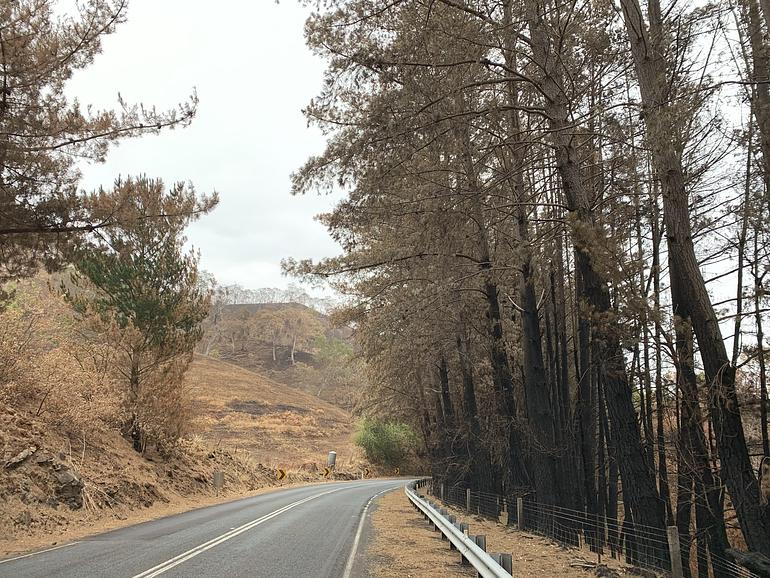 Bushfire aftermath at Cudlee Creek